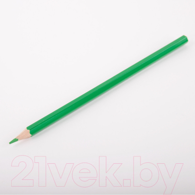 Набор цветных карандашей Пифагор Веселая такса / 181806