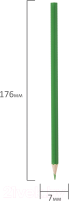 Набор цветных карандашей Пифагор Веселая такса / 181806