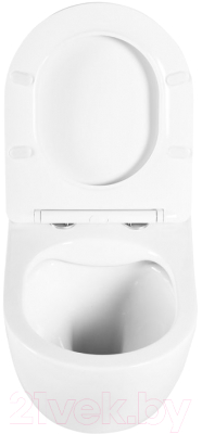 Унитаз подвесной BelBagno BB3105CHR/SC