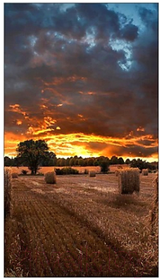 Информационная панель Samsung VM55T-U / LH55VMTUBGBXCI