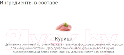 Лакомство для собак Molina Куриное филе / 4870