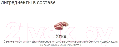 Лакомство для собак Molina Утиный хворост / 4887