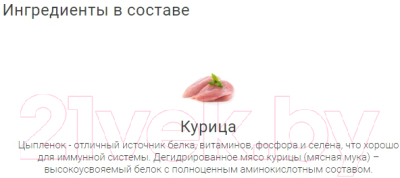 Лакомство для собак Molina Куриный хворост / 1443-1