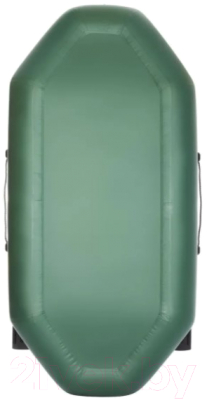 Надувная лодка Тонар Бриз 260 / 4897007 (зеленый)