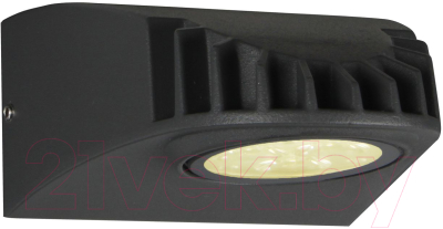 Бра уличное FAVOURITE Versus 3029-1W - фото