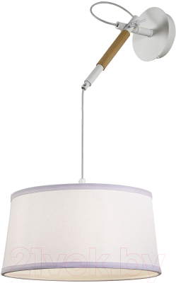 Потолочный светильник FAVOURITE F-Promo Eureka 3005-1P