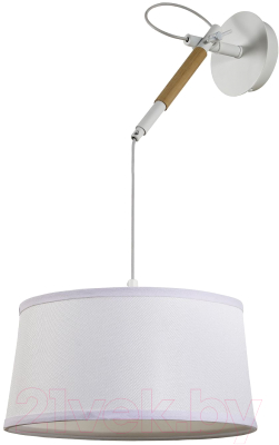 Потолочный светильник FAVOURITE F-Promo Eureka 3005-1P