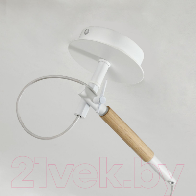 Потолочный светильник FAVOURITE F-Promo Eureka 3005-1P