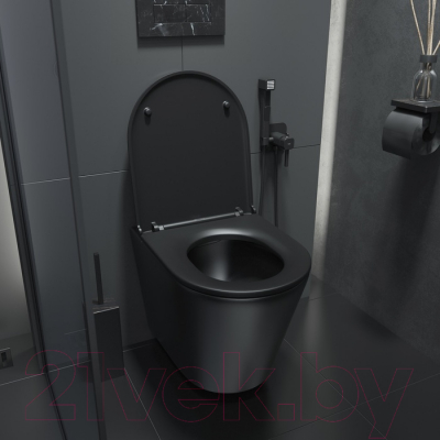 Унитаз подвесной Iddis Calipso CALR3BMi25