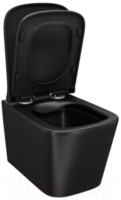 Унитаз подвесной IDDIS Bild BILR2BMi25