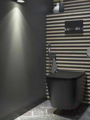 Унитаз подвесной IDDIS Bild BILR2BMi25