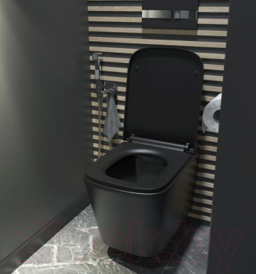 Унитаз подвесной IDDIS Bild BILR2BMi25