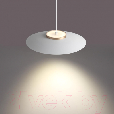 Потолочный светильник Novotech Pilz 358895 (белый/золото)