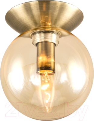 Потолочный светильник Citilux Томми CL102513