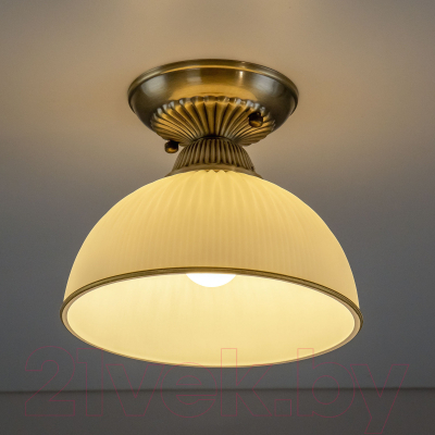 Потолочный светильник Citilux Адриана CL405113