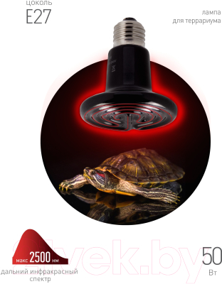 Лампа для террариума ЭРА FITO-50W-НQ / Б0052714 Лампа для террариума ЭРА FITO-50W-НQ / Б0052714