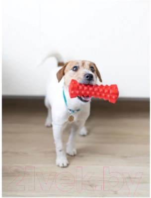 Игрушка для собак Fancy Pets Кусалка / FPP11