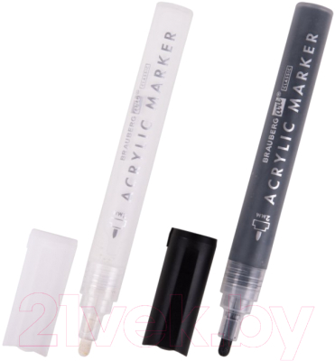 Набор маркеров Brauberg Art Classic / 152148