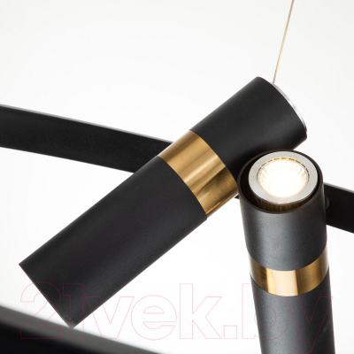 Люстра FAVOURITE Light Point 2997-6P