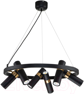 Люстра FAVOURITE Light Point 2997-6P