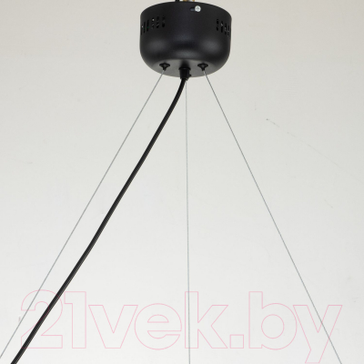 Люстра FAVOURITE Light Point 2997-6P