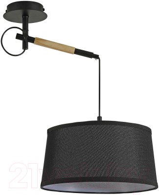 Потолочный светильник FAVOURITE F-Promo Eureka 3006-1P - фото