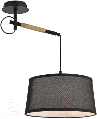 Потолочный светильник FAVOURITE F-Promo Eureka 3006-1P