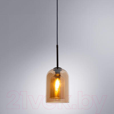 Потолочный светильник Arte Lamp Paio A7015SP-1BK