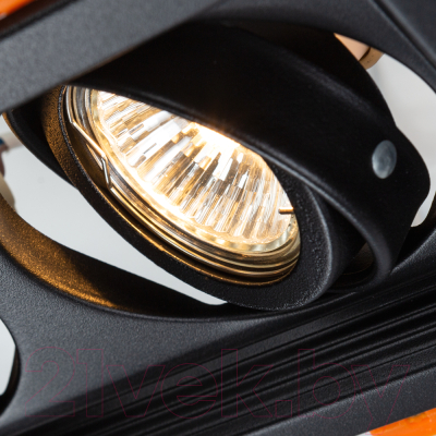 Точечный светильник Arte Lamp Canis A6661PL-2BK