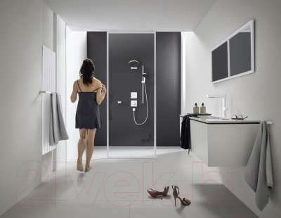 Лейка ручного душа Hansgrohe Pulsify 24120700