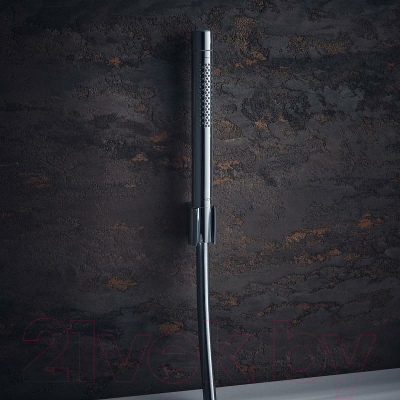 Лейка ручного душа Axor 10531000