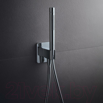 Лейка ручного душа Axor 10531000