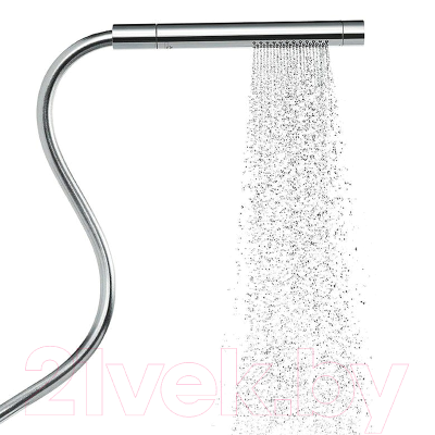 Лейка ручного душа Axor 10531000