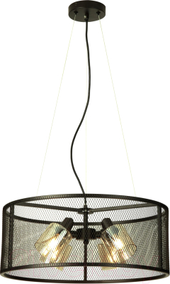 Потолочный светильник Citilux Робин CL535245 - фото