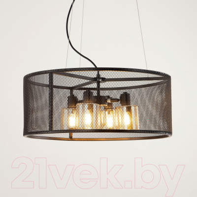 Потолочный светильник Citilux Робин CL535245