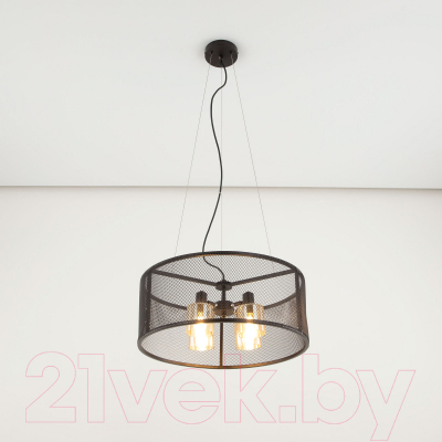 Потолочный светильник Citilux Робин CL535245