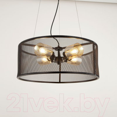 Потолочный светильник Citilux Робин CL535245