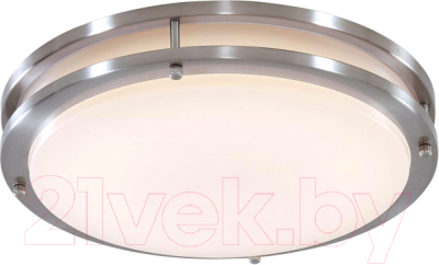 Потолочный светильник Citilux Бостон CL709201N - фото