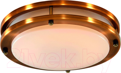 Потолочный светильник Citilux Бостон CL709203N - фото
