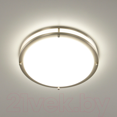 Потолочный светильник Citilux Бостон CL709321N