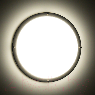 Потолочный светильник Citilux Бостон CL709321N