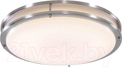 Потолочный светильник Citilux Бостон CL709501N - фото