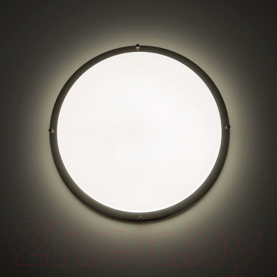 Потолочный светильник Citilux Бостон CL709501N