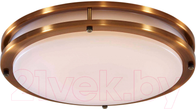 Потолочный светильник Citilux Бостон CL709503N - фото
