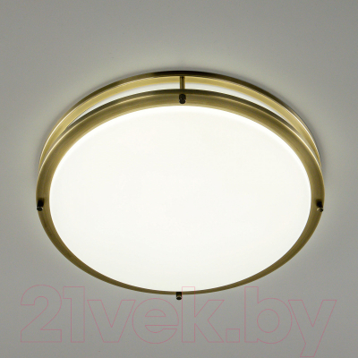 Потолочный светильник Citilux Бостон CL709503N