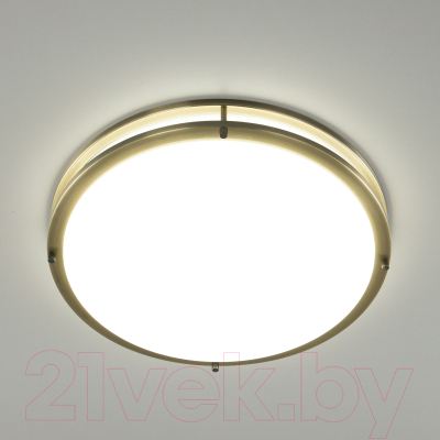 Потолочный светильник Citilux Бостон CL709503N