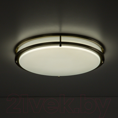 Потолочный светильник Citilux Бостон CL709503N