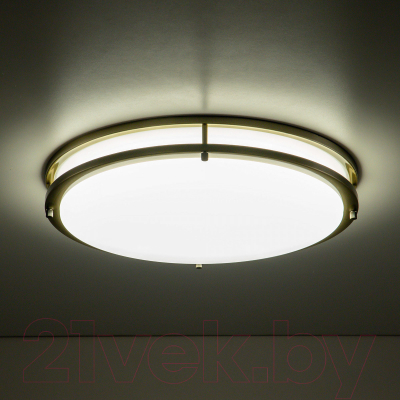 Потолочный светильник Citilux Бостон CL709503N