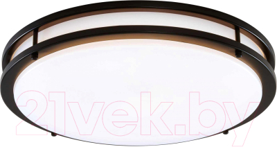 Потолочный светильник Citilux Бостон CL709505N - фото