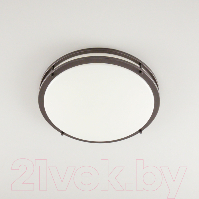 Потолочный светильник Citilux Бостон CL709505N